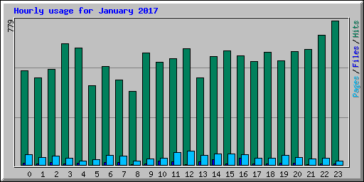 Hourly usage for January 2017